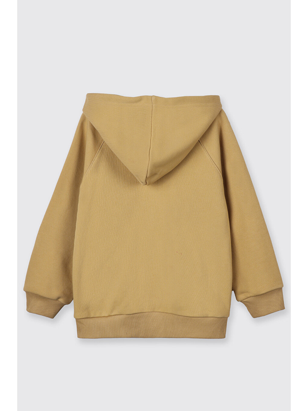 Sarı Erkek Çocuk Kapüşonlu Hardal Sweatshirt-3