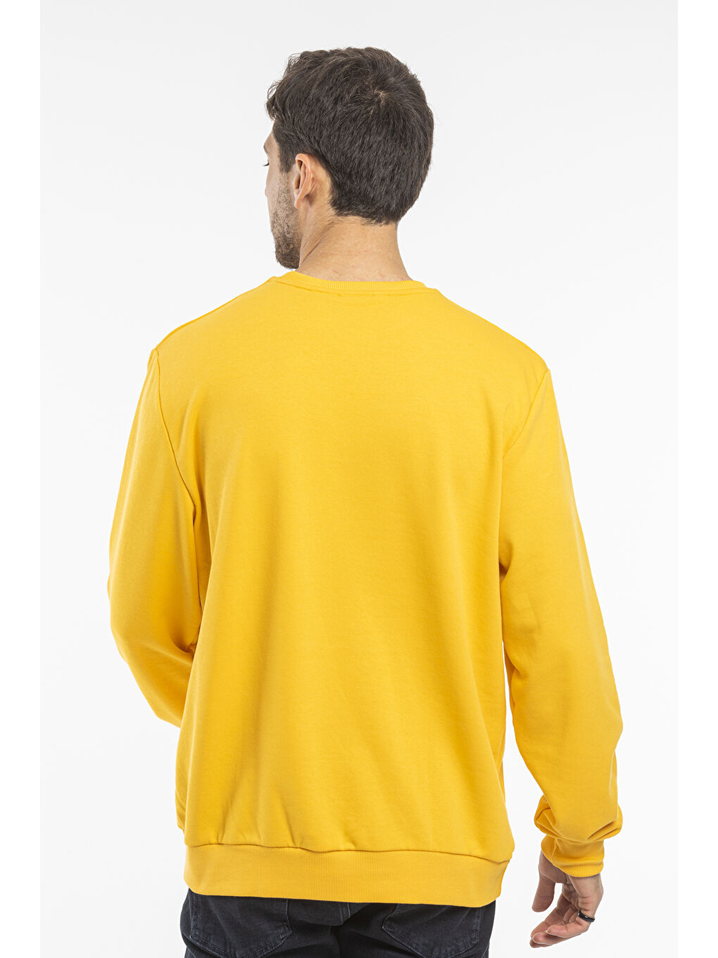 Sarı Erkek Bisiklet Yaka Standart Kalıp 3 İplik İçi Polarlı Kalın Sweatshirt SPR25SW36-2