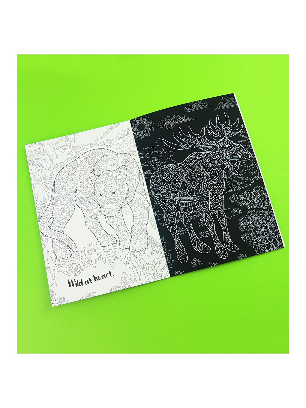 Scratch Art Creations Amazing Animals – Kazımalı Boyama Ve Karalama Defteri + Ahşap Kalem-1