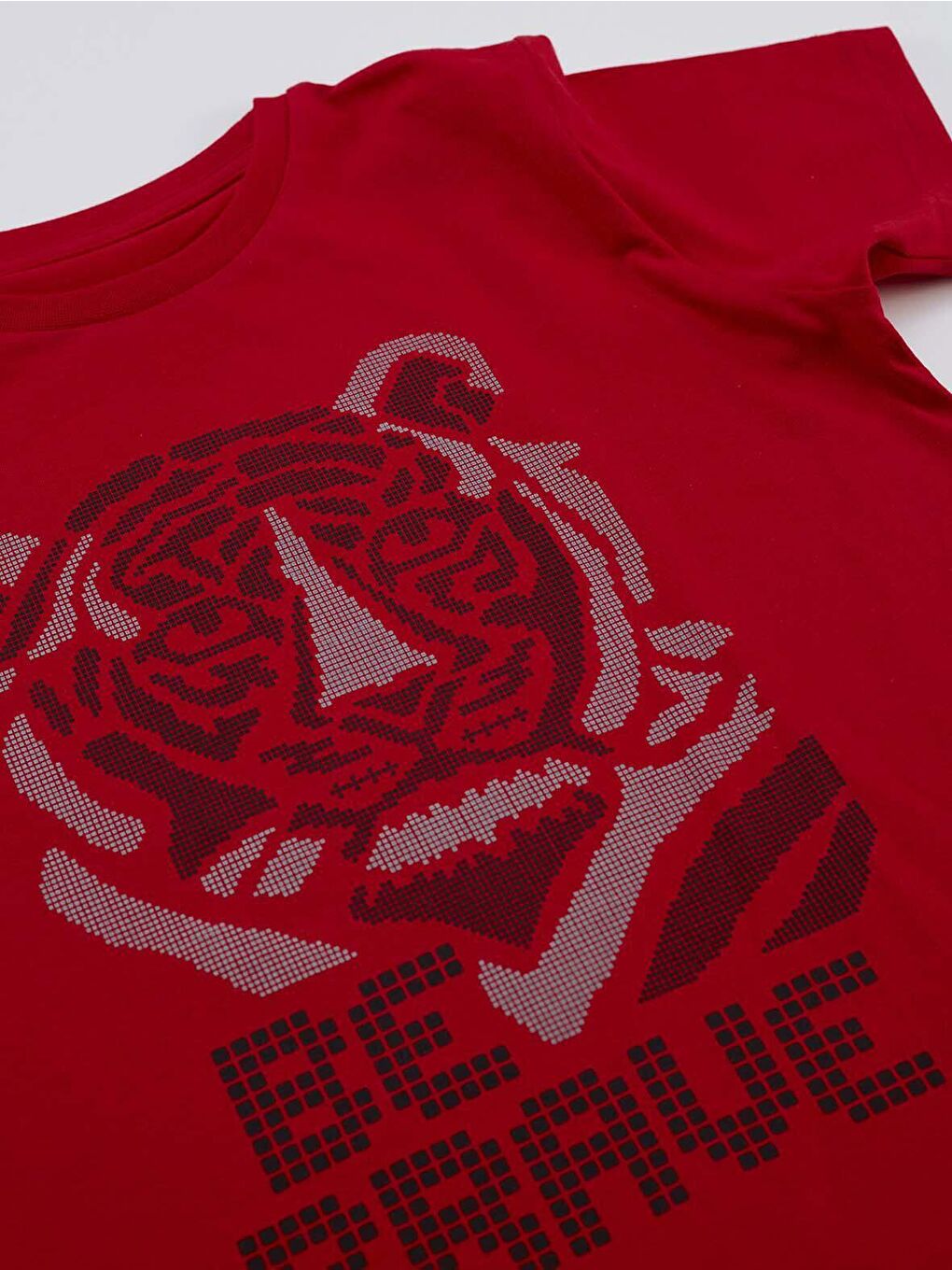 Karışık Cesur Kaplan Erkek Çocuk Tişört Şort Takım-4