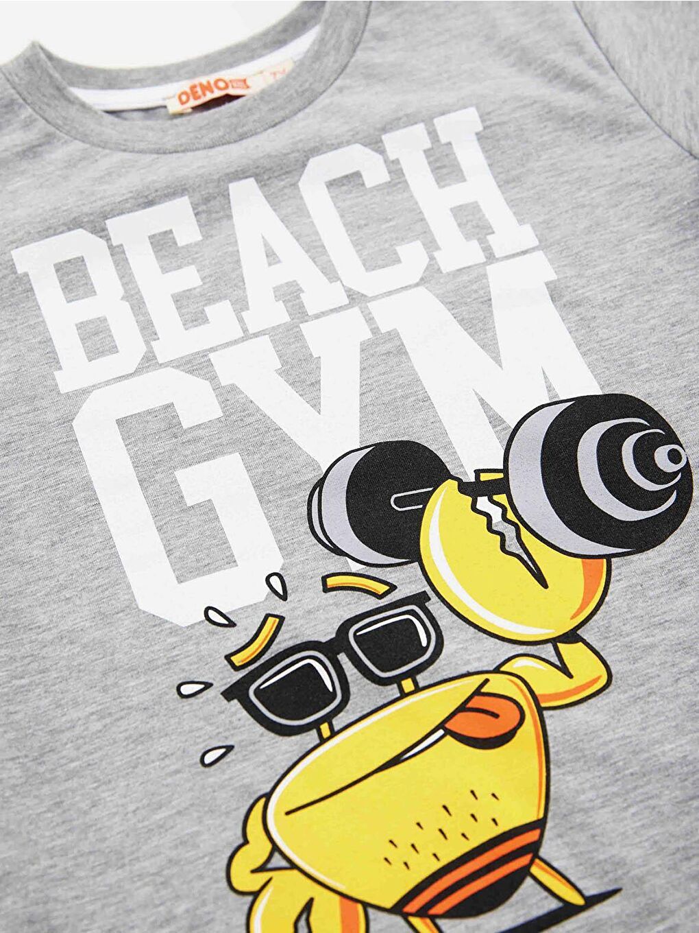 Denokids Karışık Beach Gym Erkek Çocuk T-shirt Şort Takım - 4