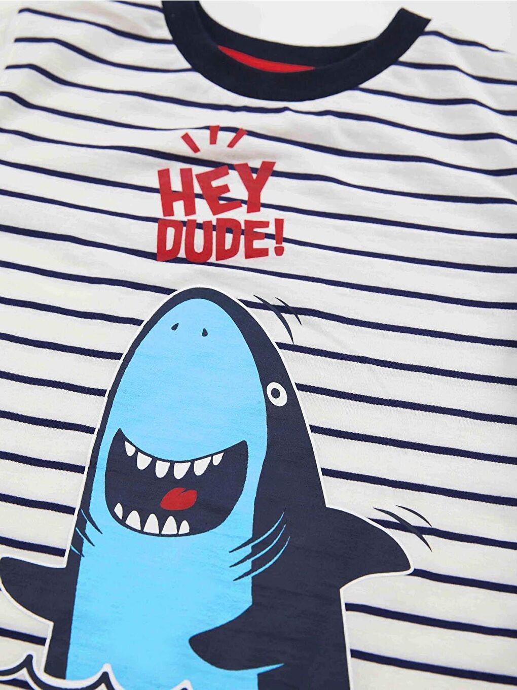 Denokids Karışık Dude Shark Erkek Çocuk T-shirt Şort Takım - 4