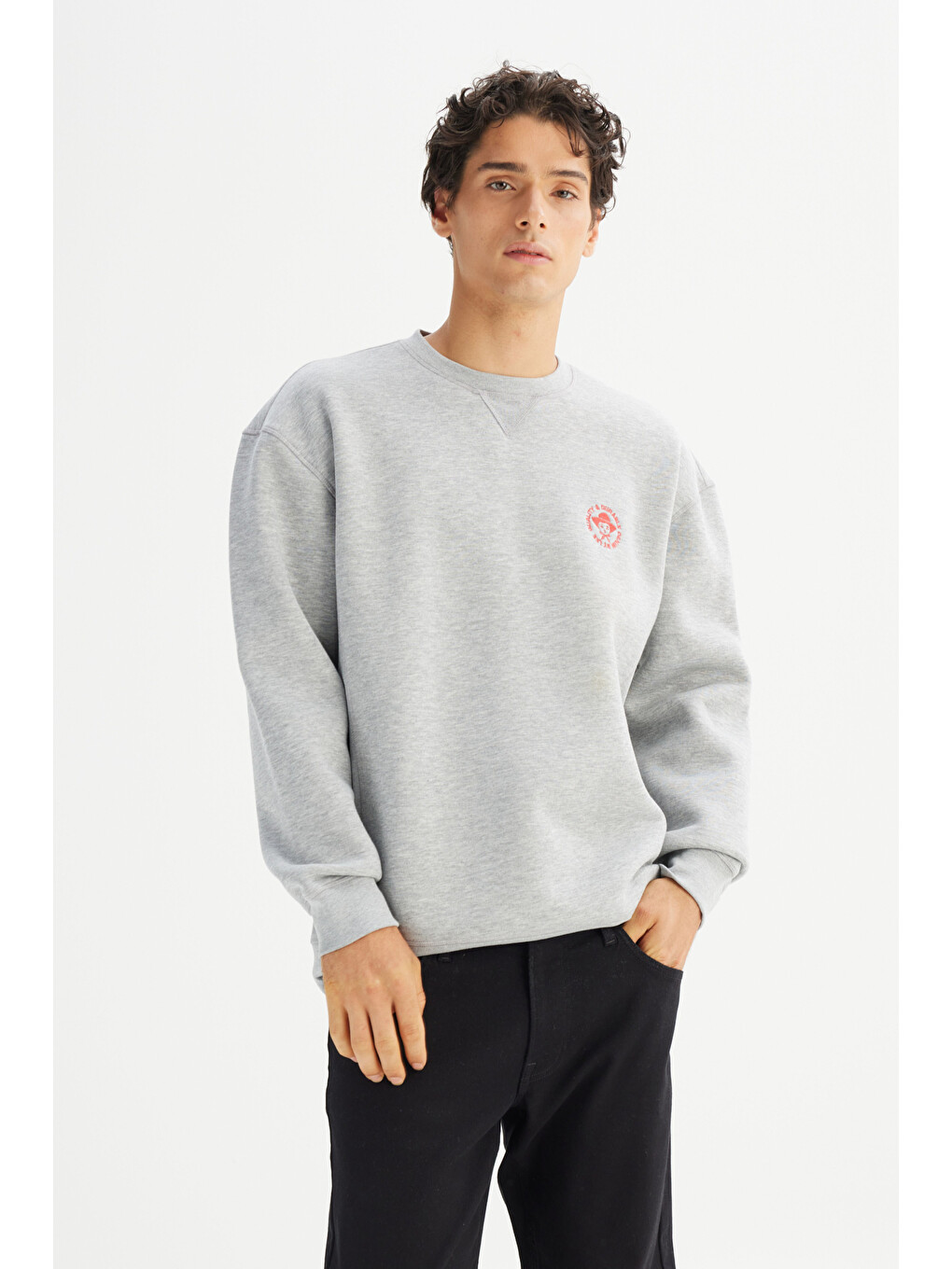 Gri Pamuklu İçi Polarlı Regular Fit Bisiklet Yaka Baskılı Sweatshirt