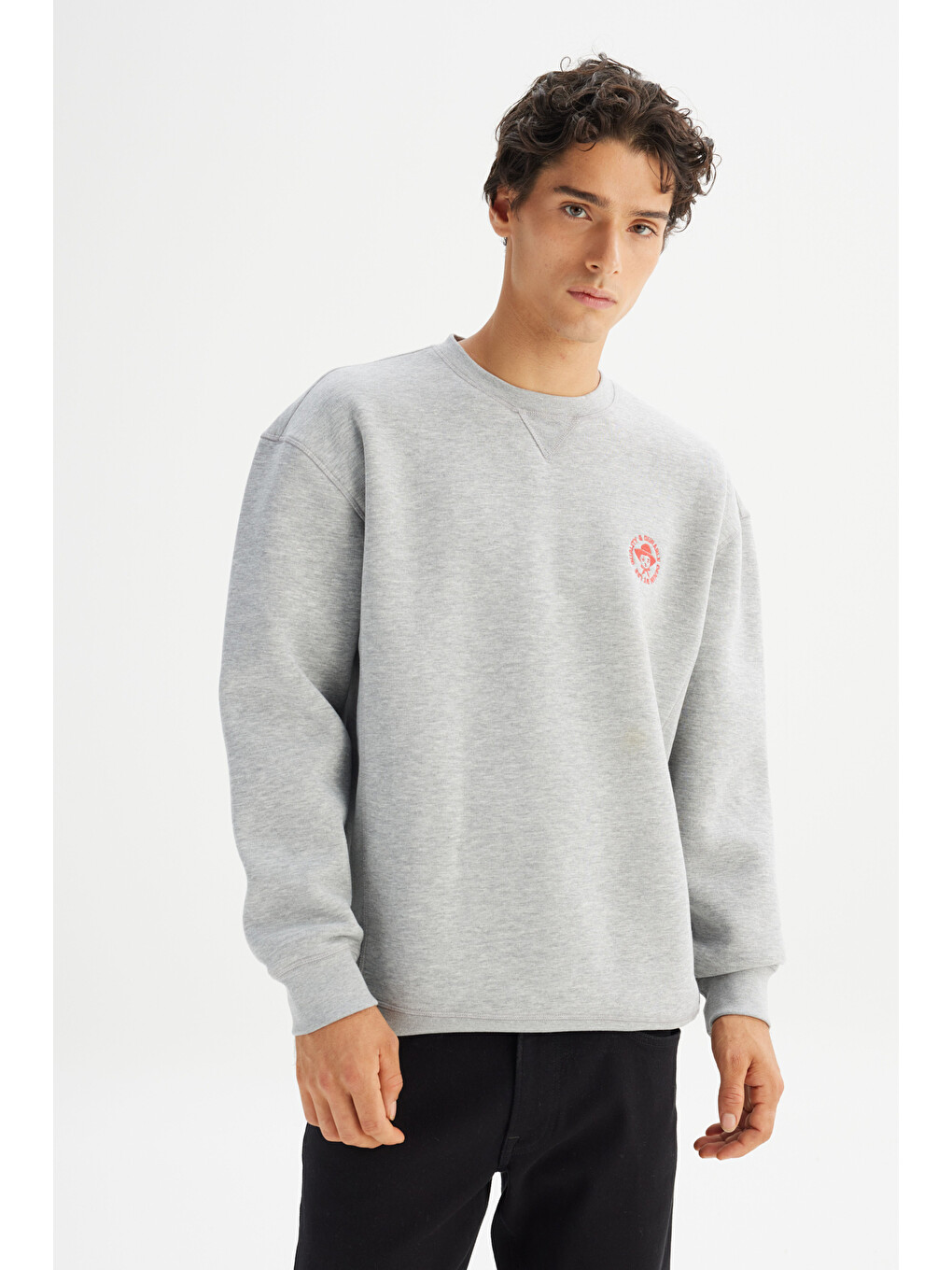 Gri Pamuklu İçi Polarlı Regular Fit Bisiklet Yaka Baskılı Sweatshirt-2