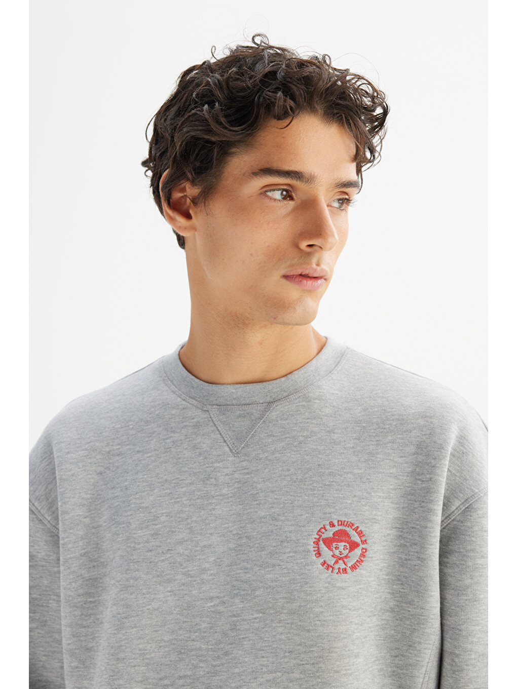Gri Pamuklu İçi Polarlı Regular Fit Bisiklet Yaka Baskılı Sweatshirt-3
