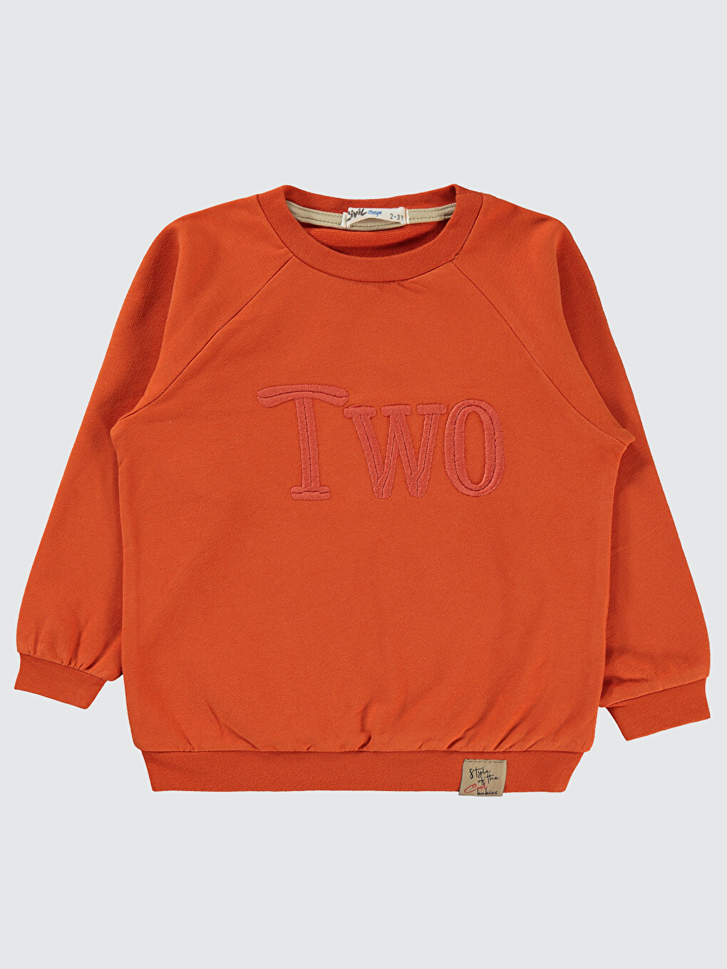 Kahverengi Boys Erkek Çocuk Sweatshirt 2-5 Yaş Kiremit-3