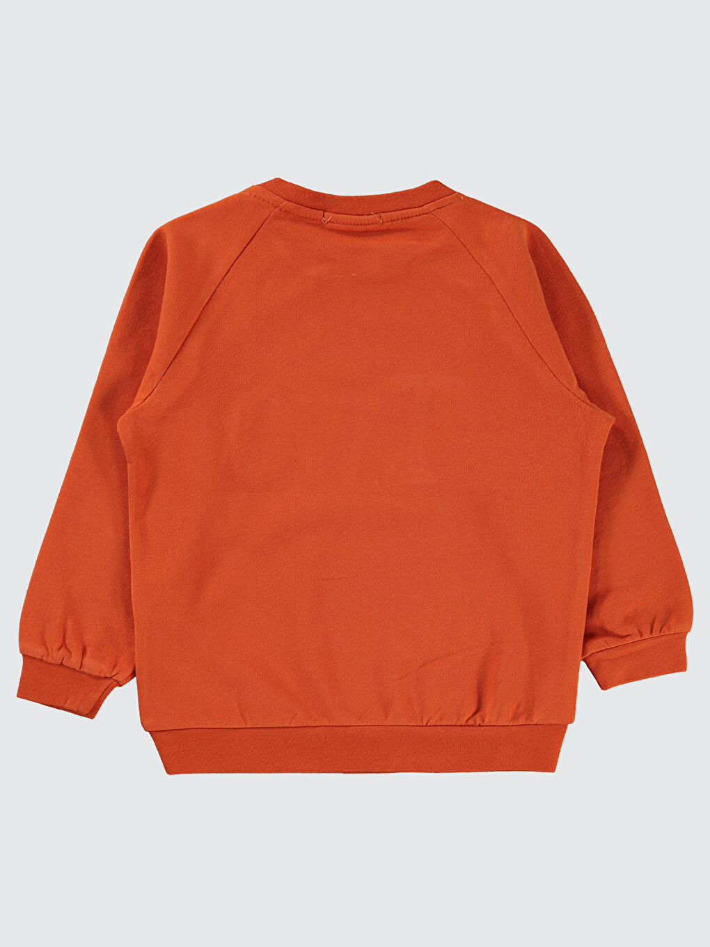 Kahverengi Boys Erkek Çocuk Sweatshirt 2-5 Yaş Kiremit-4