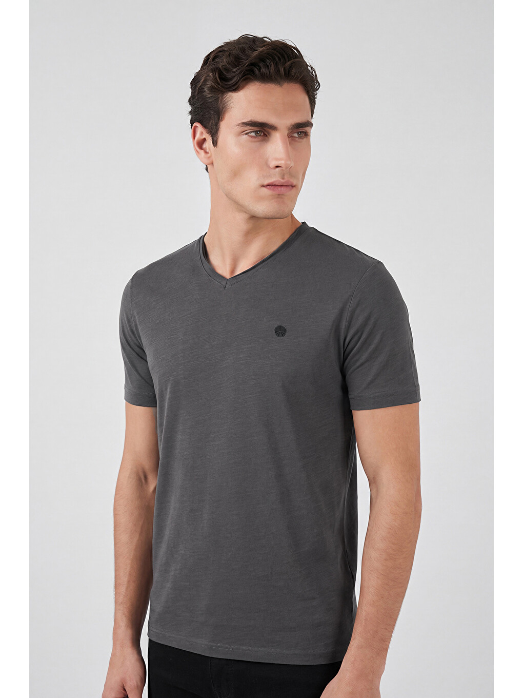 Antrasit Pamuklu Regular Fit V Yaka T Shirt 5902719-2