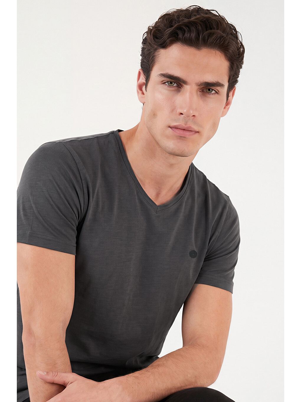 Antrasit Pamuklu Regular Fit V Yaka T Shirt 5902719-4
