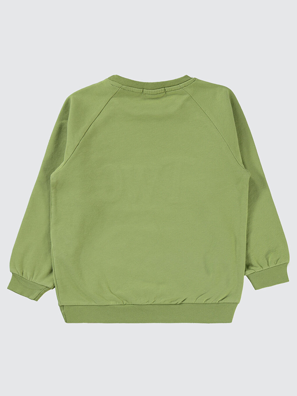Boys Erkek Çocuk Sweatshirt 2-5 Yaş Çağla Yeşili-4