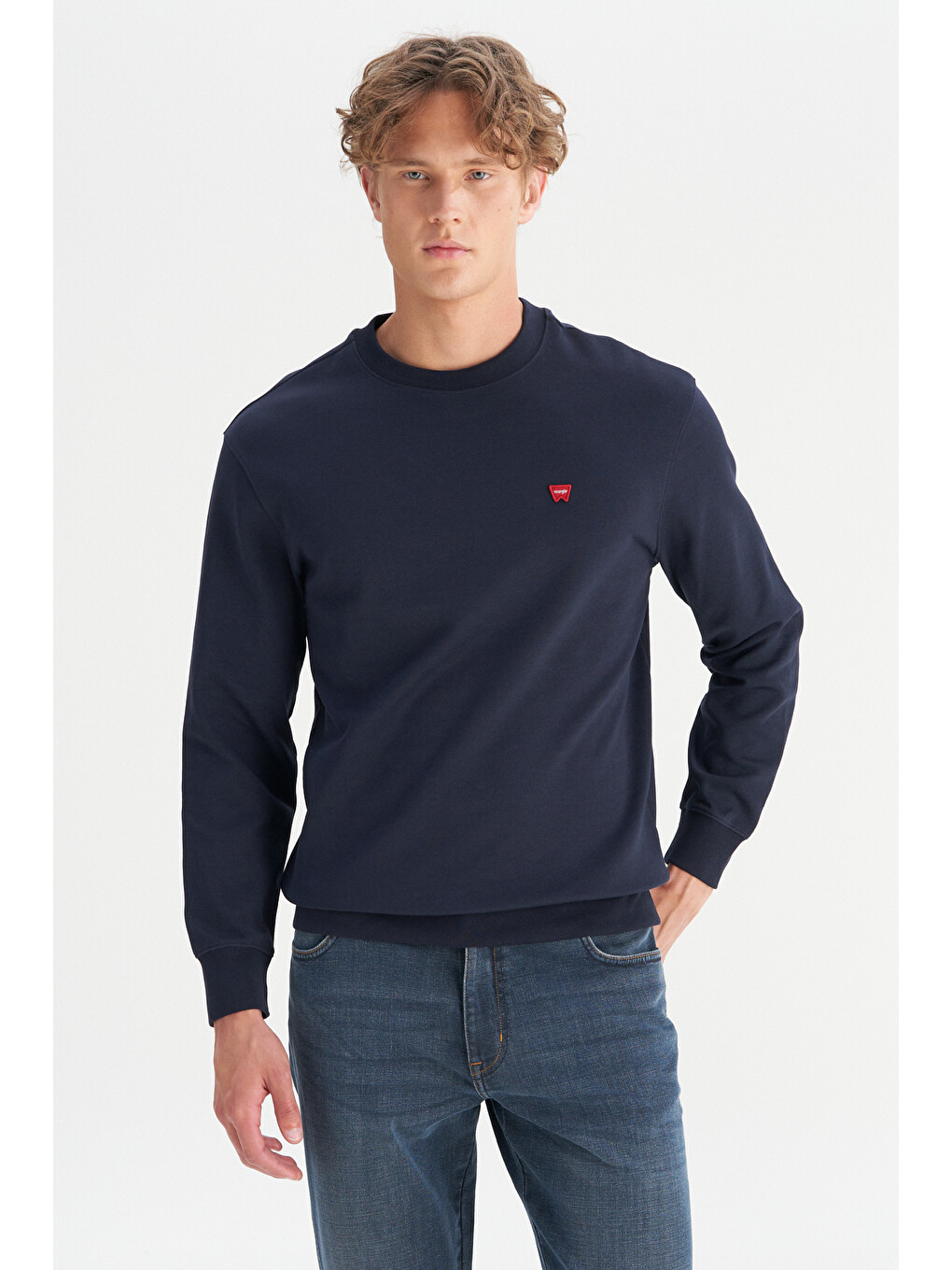 Lacivert Pamuklu Regular Fit Bisiklet Yaka Logo Detaylı Sweatshirt