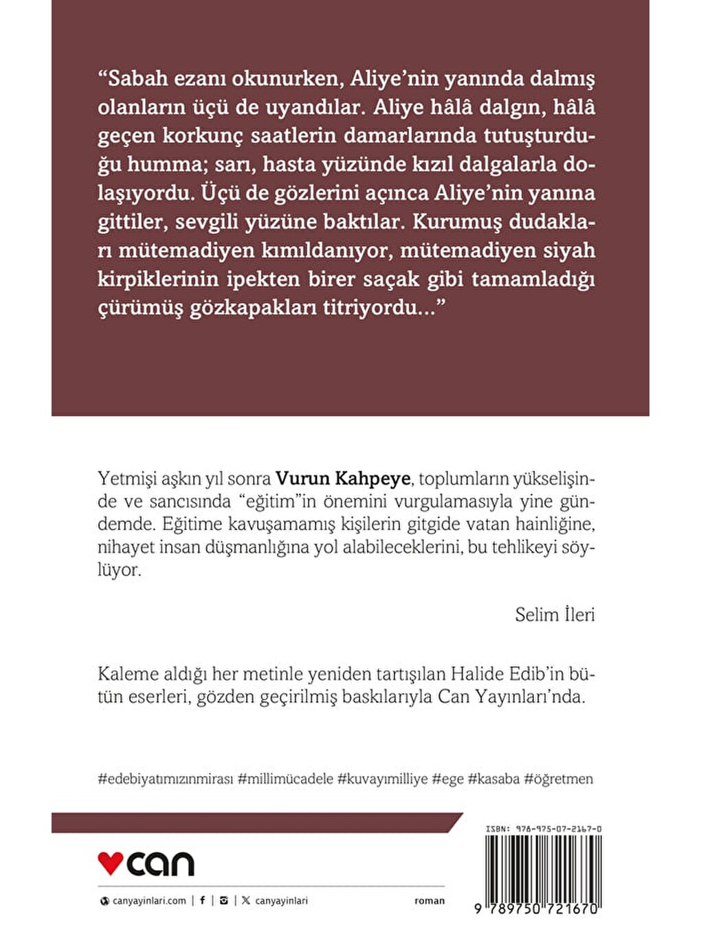 Vurun Kahpeye-2