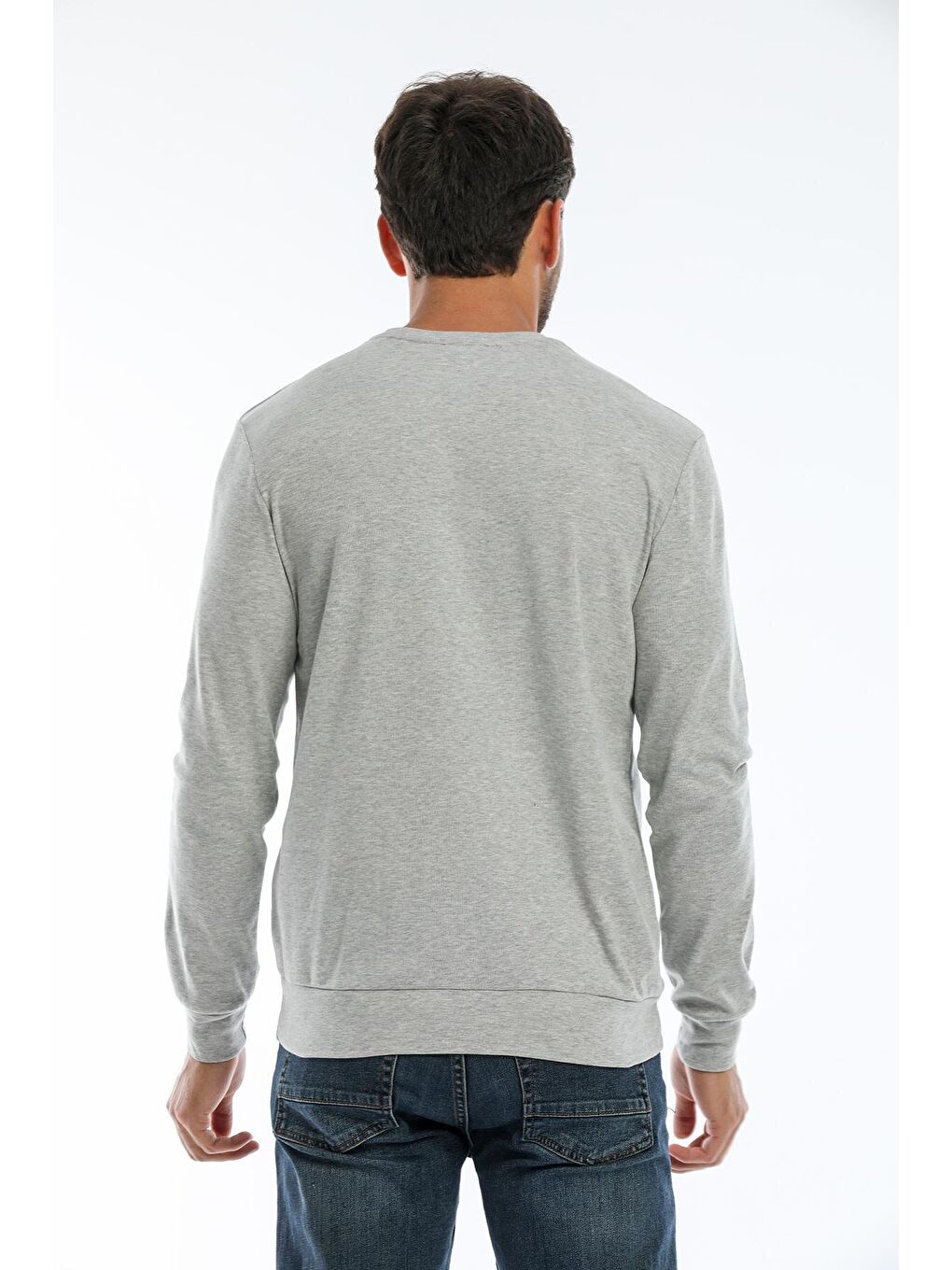 Gri Erkek Bisiklet Yaka Slim fit Air Baskılı İnce Sweatshirt SPR22sw101-4