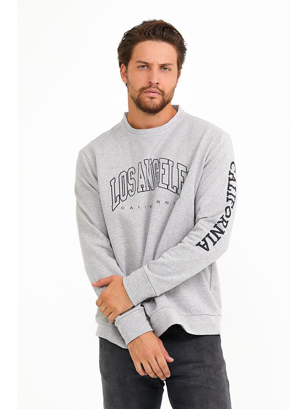 Gri Erkek Bisiklet Yaka Regular Fit Ön ve Kol Baskılı İnce Sweatshirt SPR22SW133-2