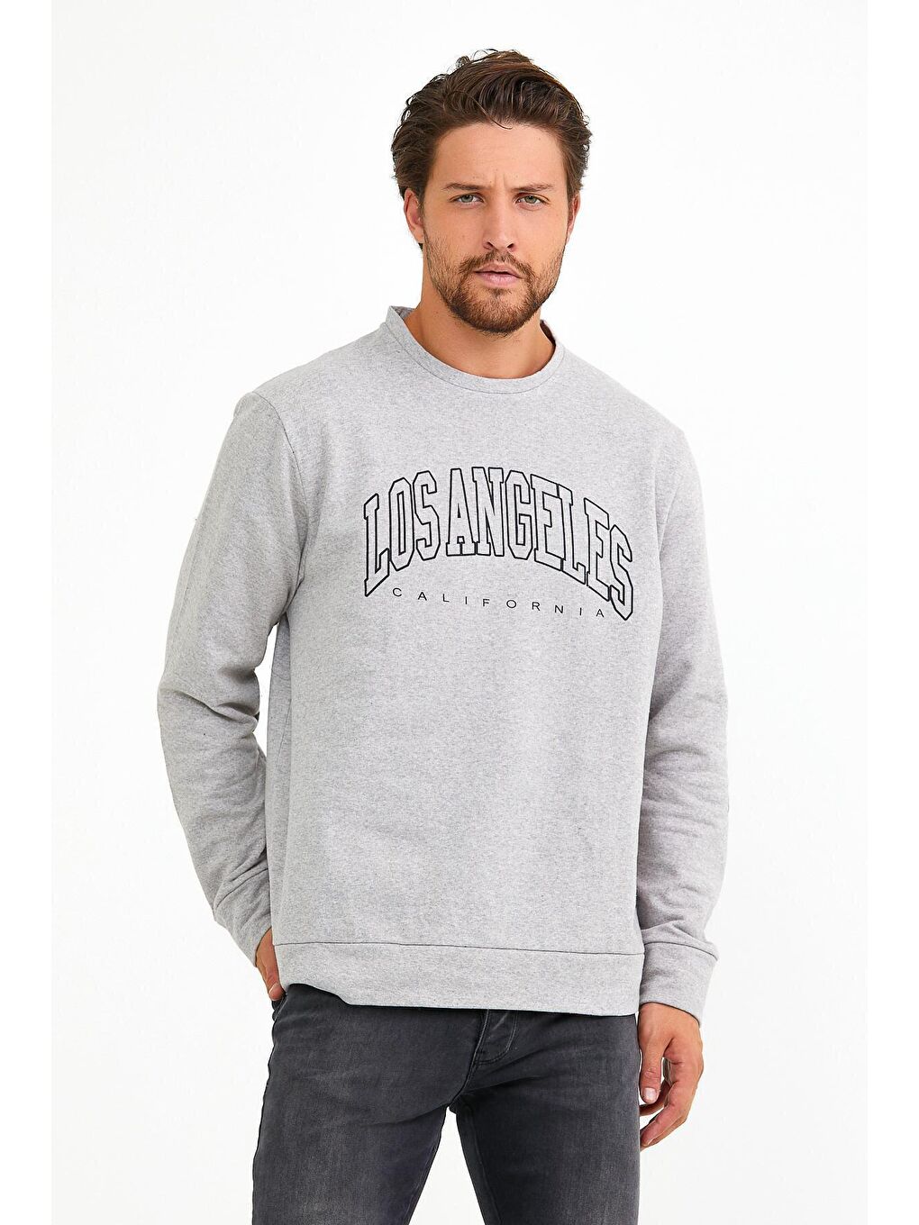 Gri Erkek Bisiklet Yaka Regular Fit Ön ve Kol Baskılı İnce Sweatshirt SPR22SW133-3