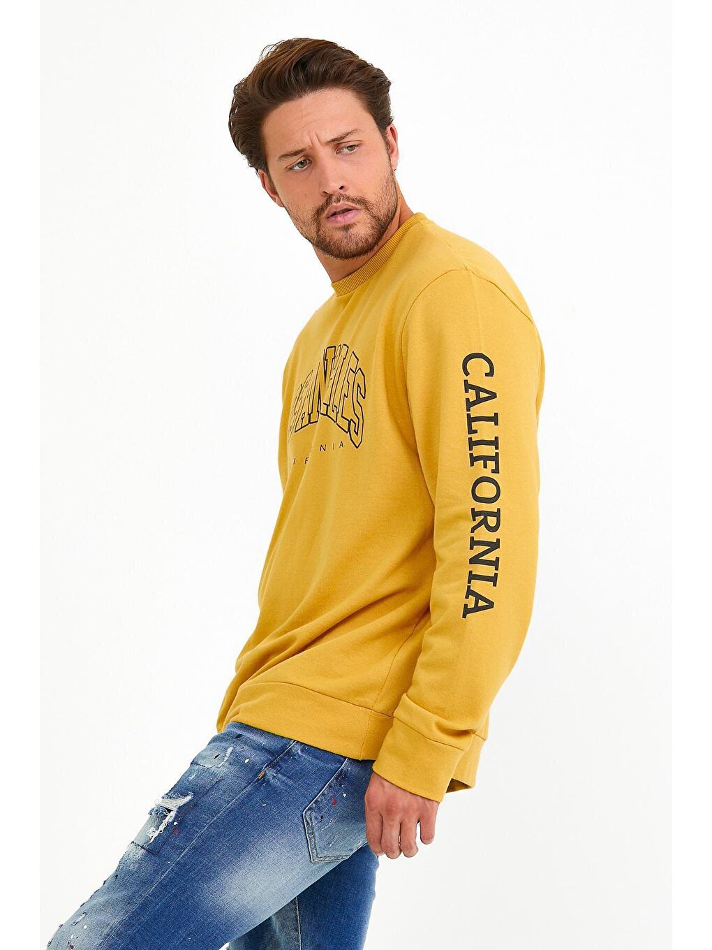 Sarı Erkek Bisiklet Yaka Regular Fit Ön ve Kol Baskılı İnce Sweatshirt SPR22SW133-4