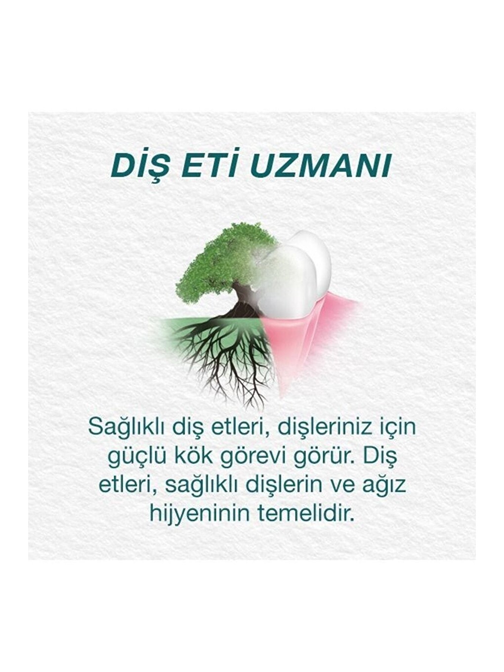 Total White Bitkisel Beyazlatıcı Diş Macunu, Florürsüz, Parabensiz, Bitkisel Enzim, 100 ml 125 gr-7