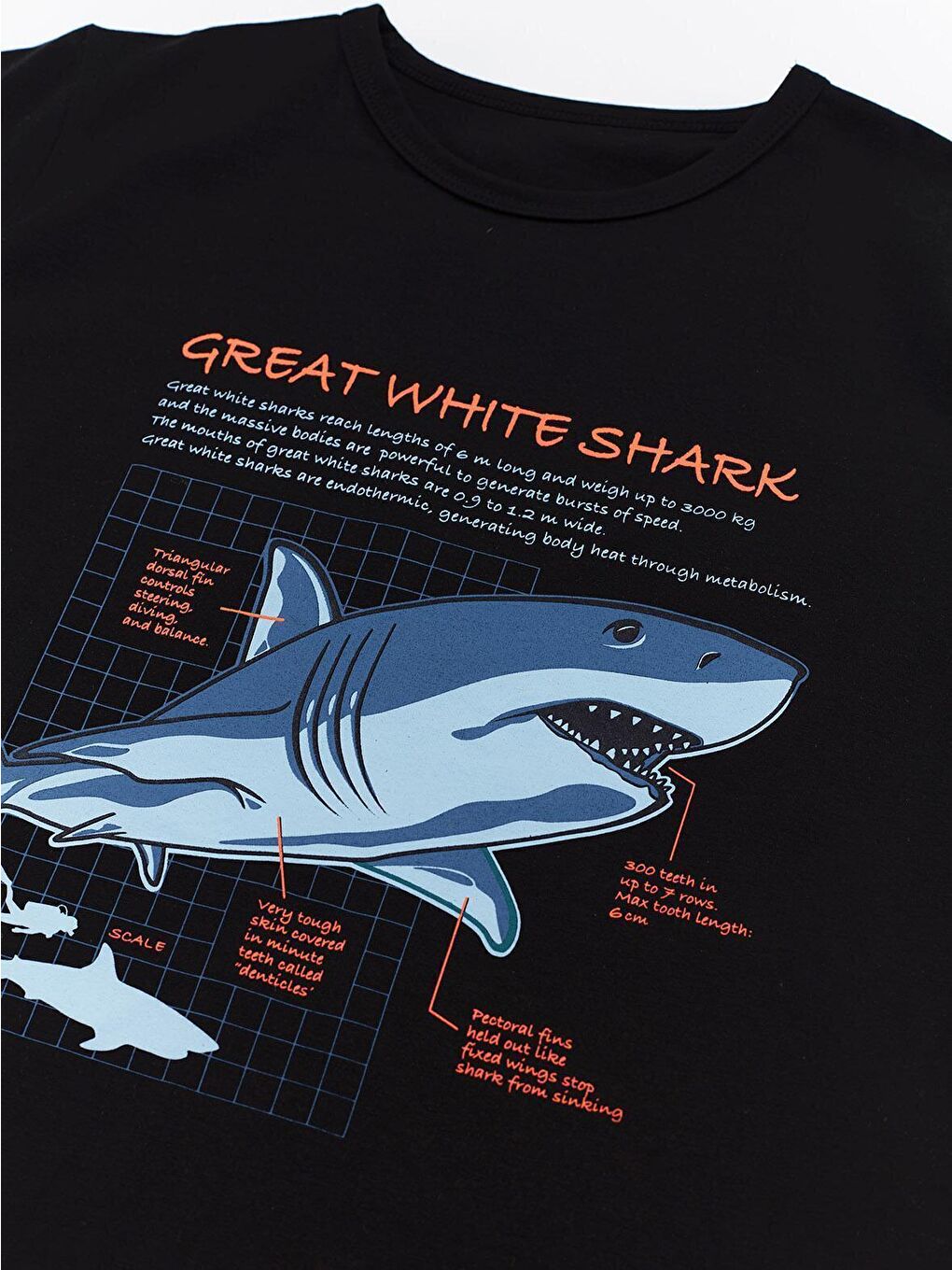 Karışık Köpekbalığı Kamo Erkek Çocuk Tişört Şort Takım-4