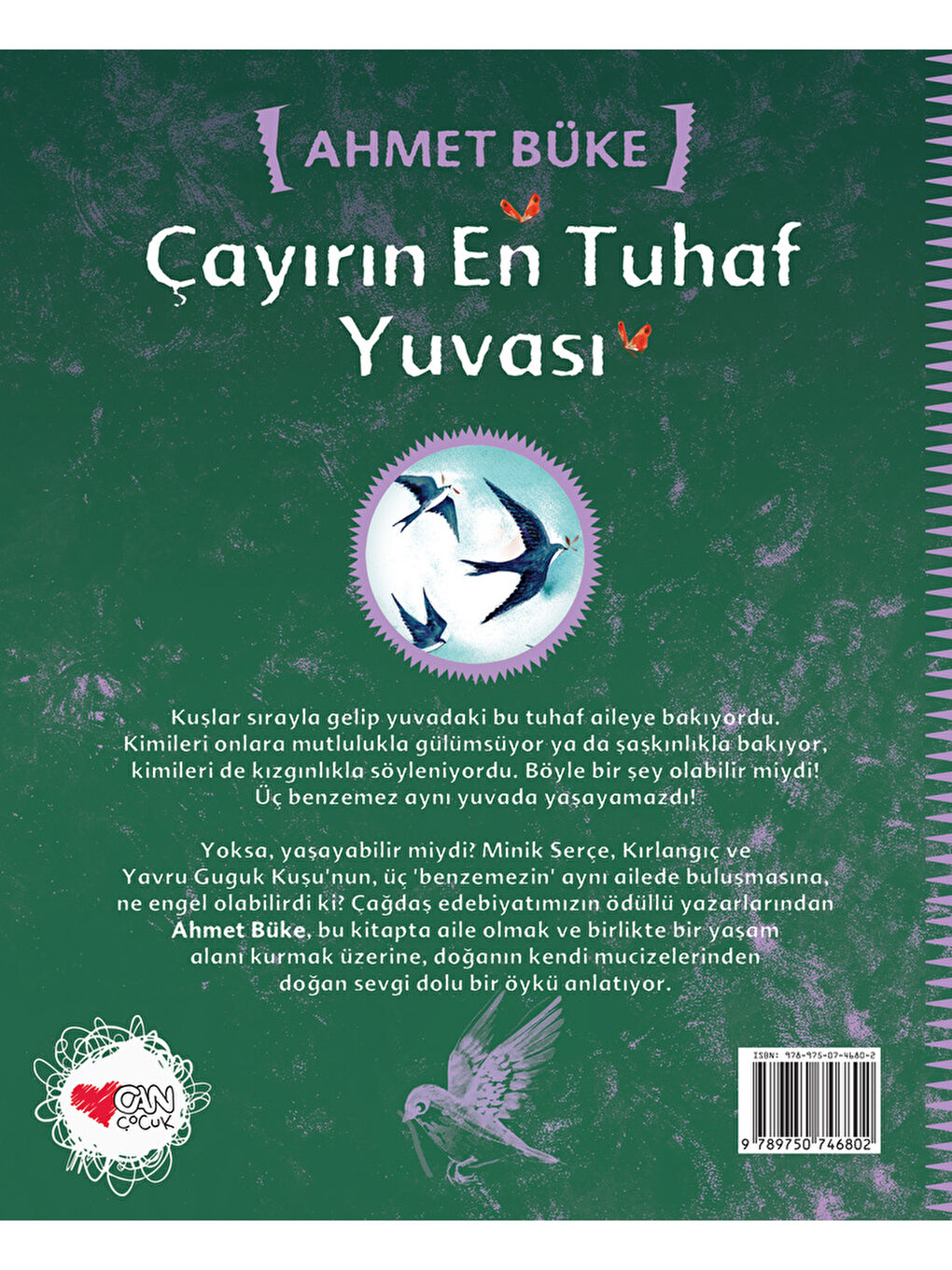 Çayırın En Tuhaf Yuvası-2