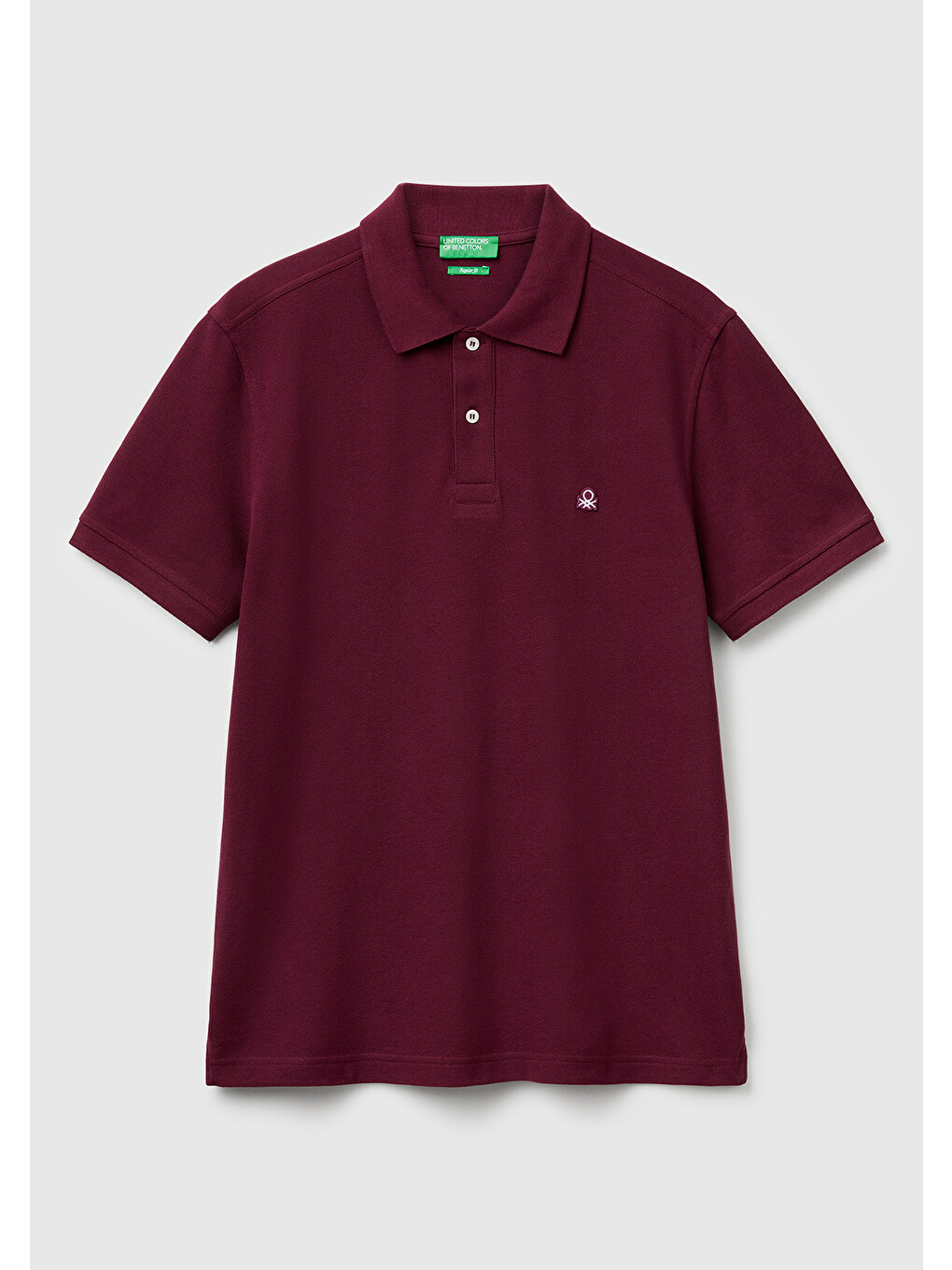 Erkek Mürdüm Regular Fit Kısa Kollu Polo Tişört-1