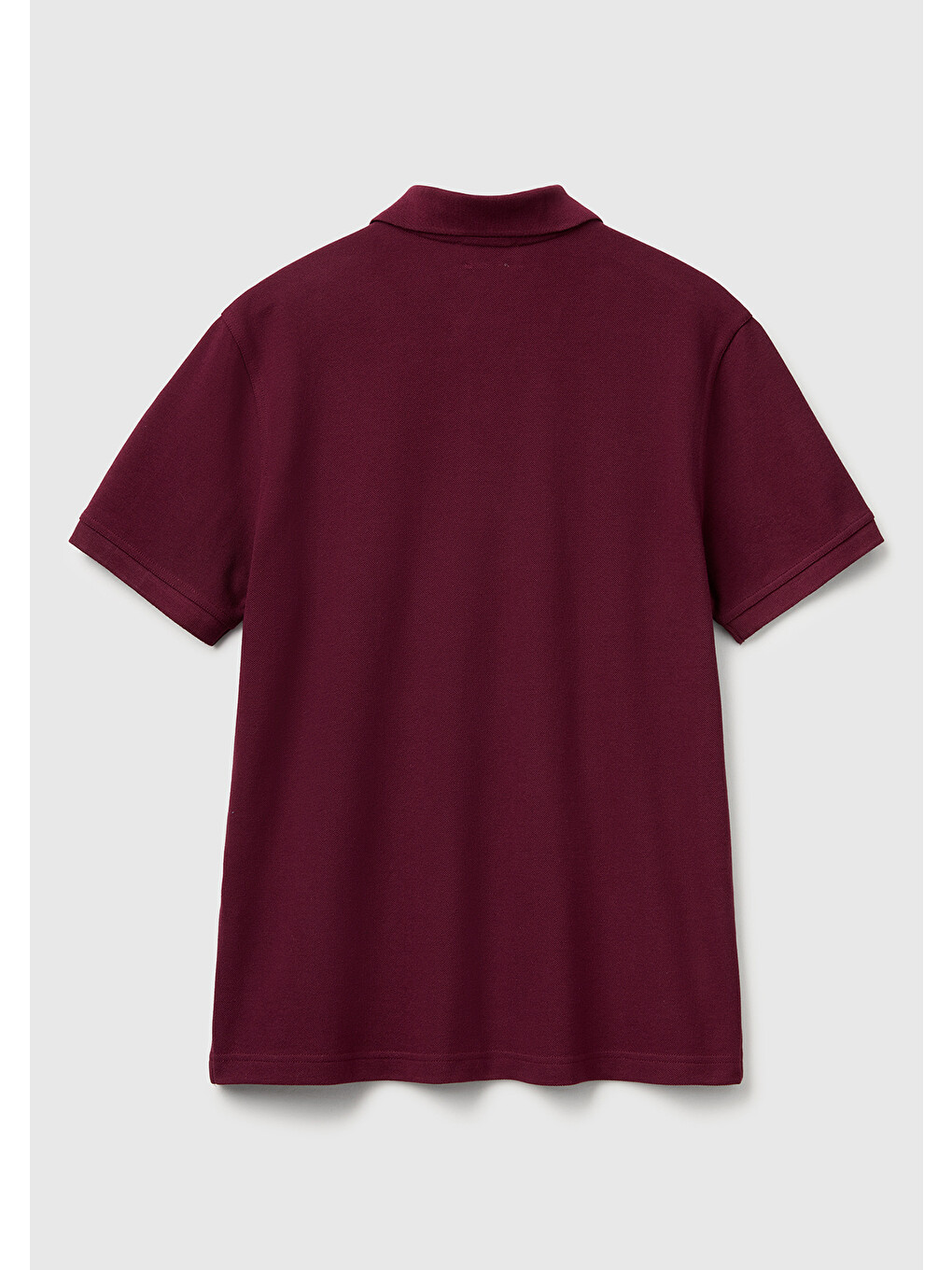 Erkek Mürdüm Regular Fit Kısa Kollu Polo Tişört-3