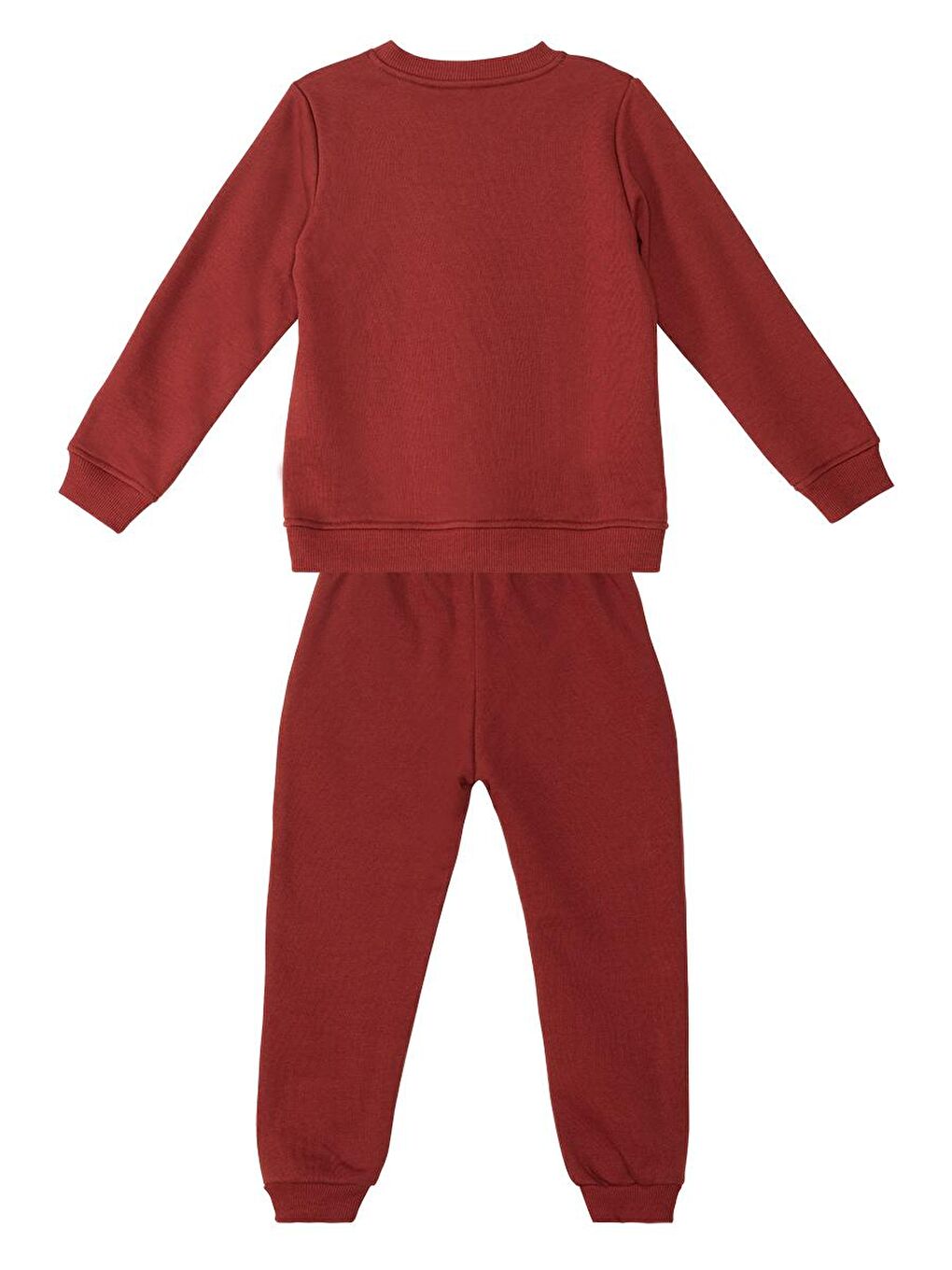 Denokids Bordo Tiger Erkek Çocuk Eşofman Altı Takım - 3