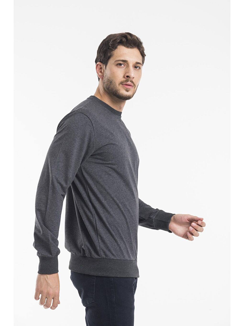 Antrasit Erkek Bisiklet Yaka Regular Fit İnce Büyük Beden Sweatshirt SPR 20K30-1