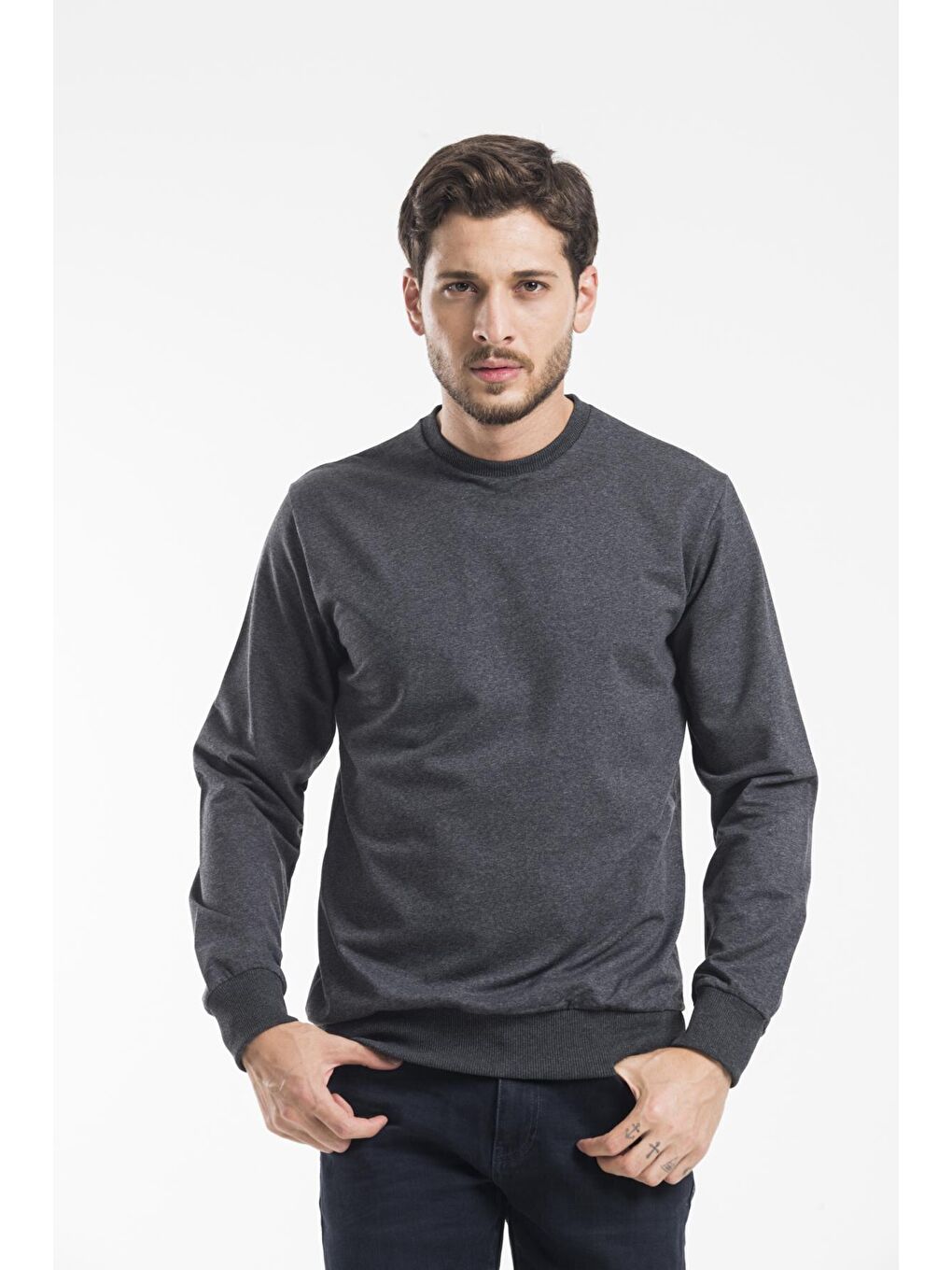 Antrasit Erkek Bisiklet Yaka Regular Fit İnce Büyük Beden Sweatshirt SPR 20K30-2