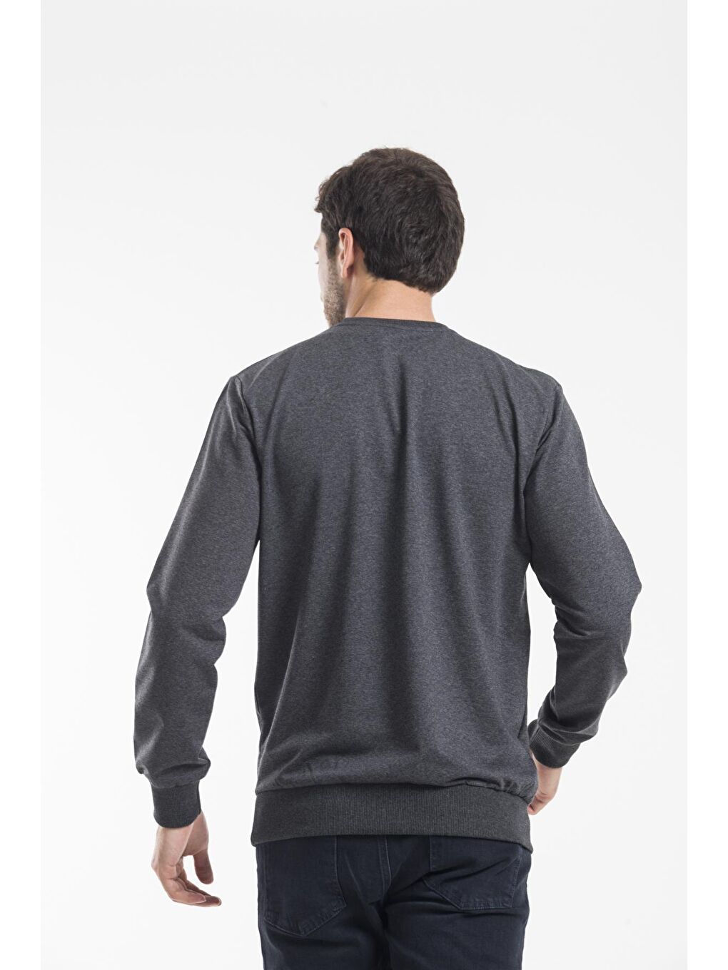 Antrasit Erkek Bisiklet Yaka Regular Fit İnce Büyük Beden Sweatshirt SPR 20K30-3