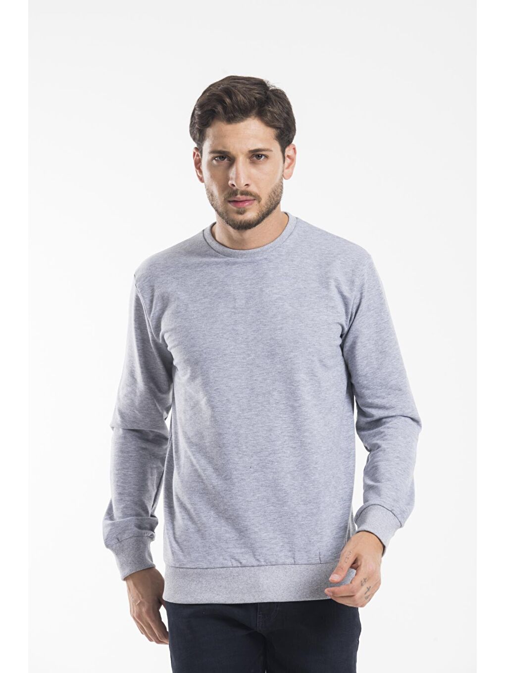 Gri Erkek Bisiklet Yaka Regular Fit İnce Büyük Beden Sweatshirt SPR 20K30-2