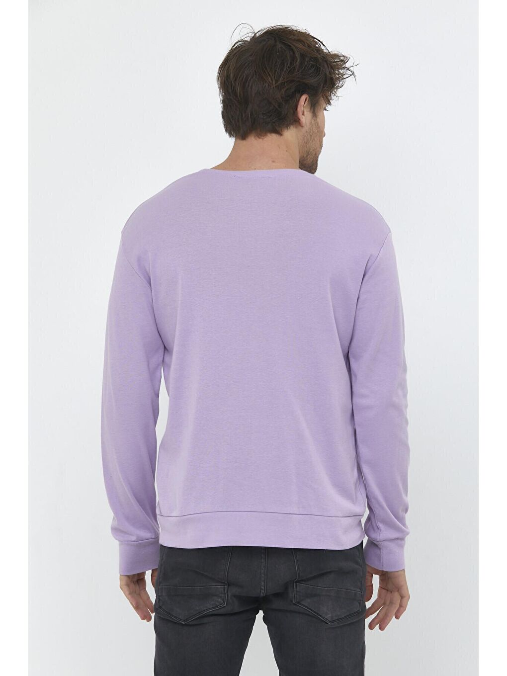 Lila Erkek Bisiklet Yaka Slim Fit İnce Sweatshirt SPR 20K17-4