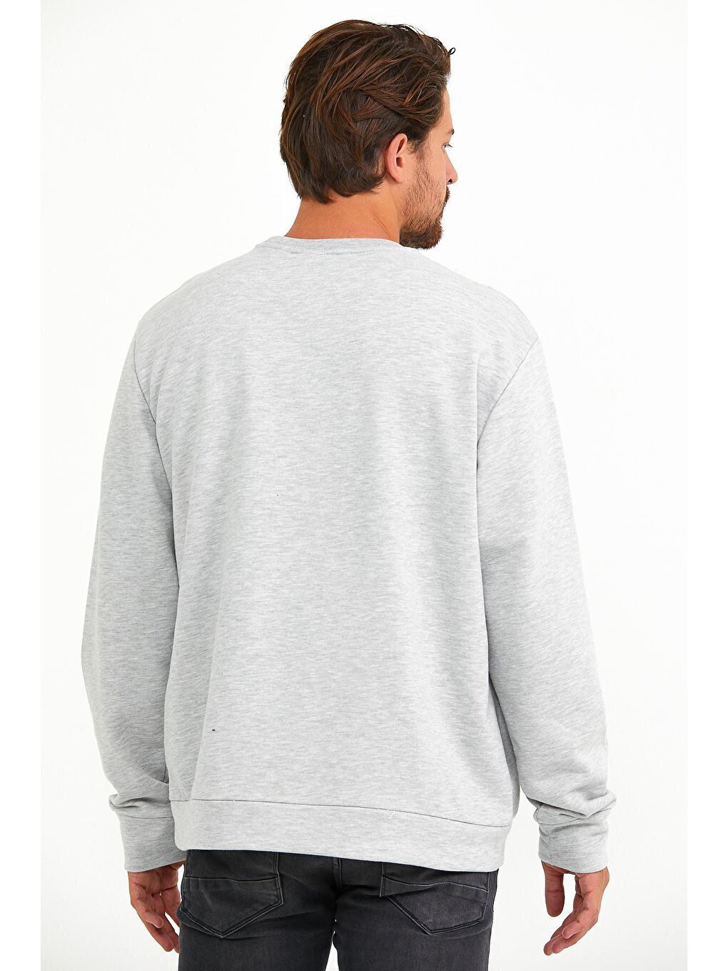 Gri Erkek Bisiklet Yaka Regular Fit Tokyo Baskılı İnce Sweatshirt spr22sw134-4