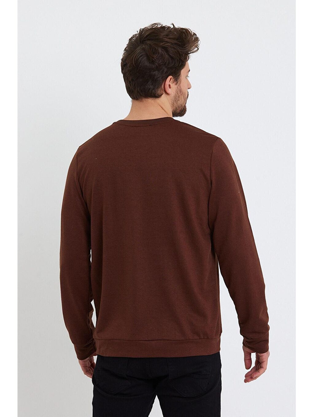 Kahverengi Erkek Bisiklet Yaka Regular Fit Brooklyn Baskılı İnce Sweatshirt SPR23SW330-4