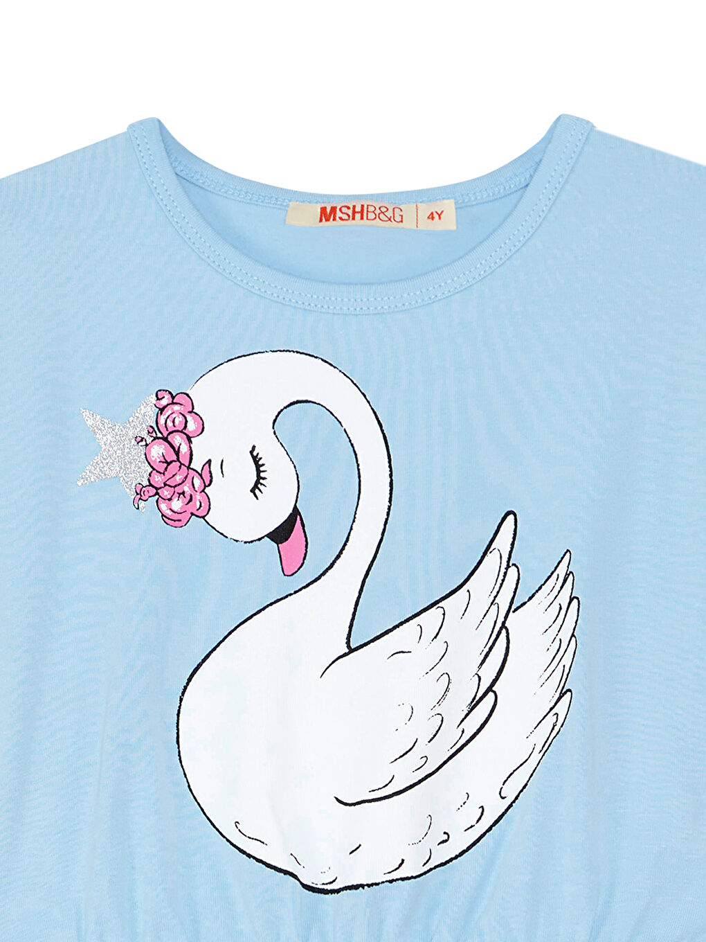 Mavi Yıldız Kuğu Kız Çocuk Tüllü Elbise-4