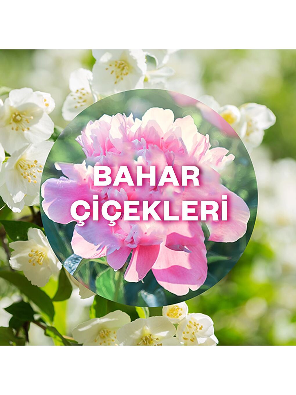 Renksiz Elektrikli Oda Kokusu Yedek Şişe Bahar Çiçekleri x 6-2