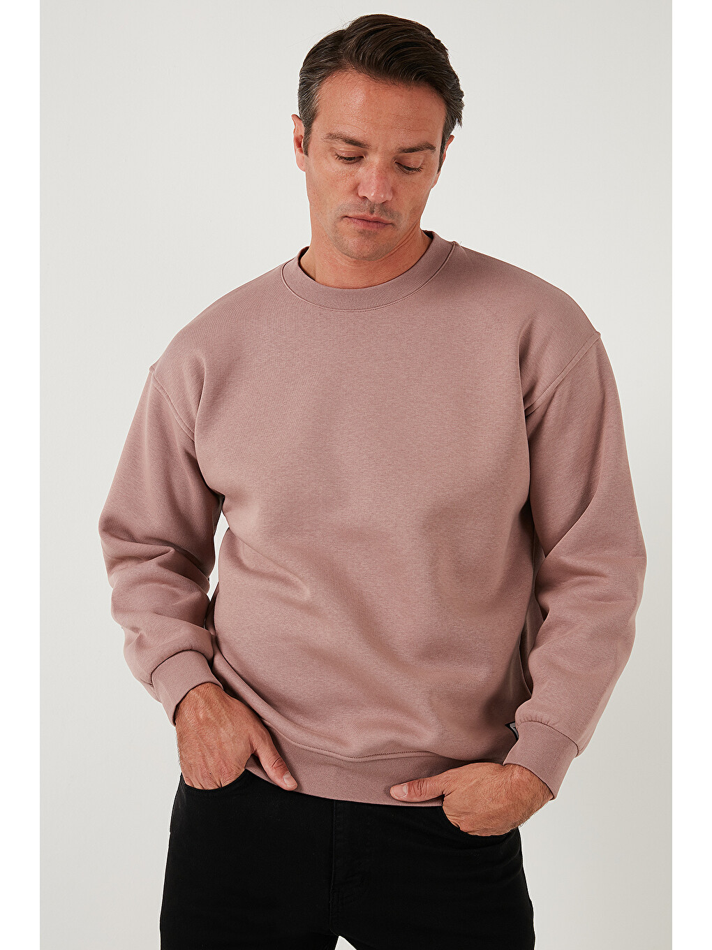 Pembe Regular Fit Bisiklet Yaka Pamuklu İçi Tüylü Yumuşak Şardonlu Erkek Sweatshirt 5905255-2
