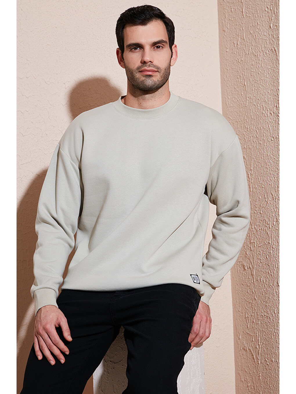 Ekru Regular Fit Bisiklet Yaka Pamuklu İçi Tüylü Yumuşak Şardonlu Erkek Sweat 5905255-2