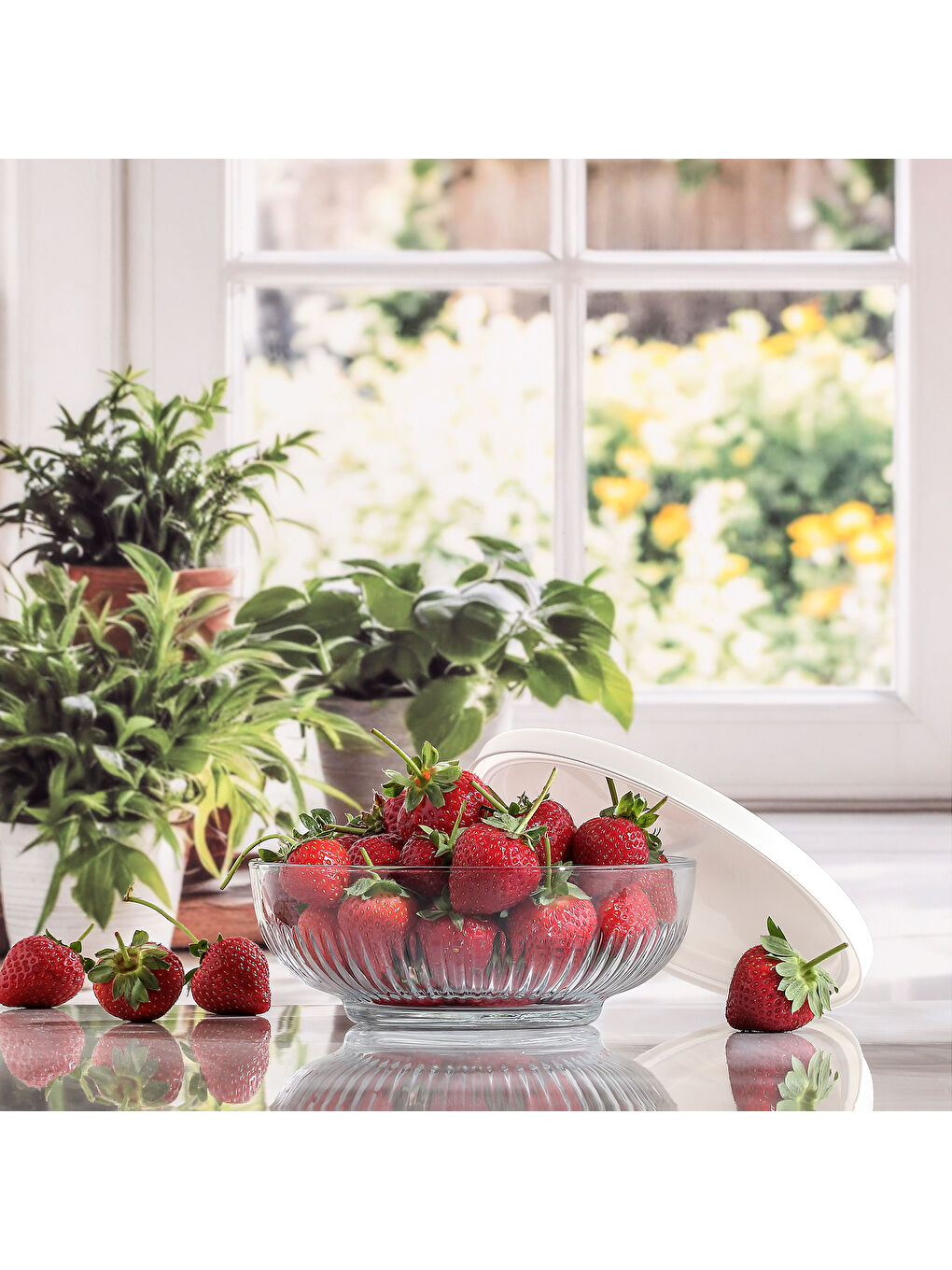 Renksiz Tokyo Tekli Küçük Boy Kase-1