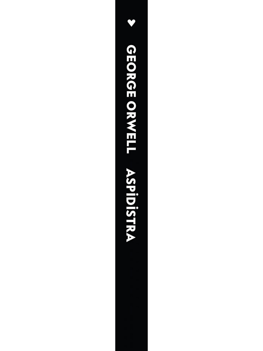 Aspidistra-1