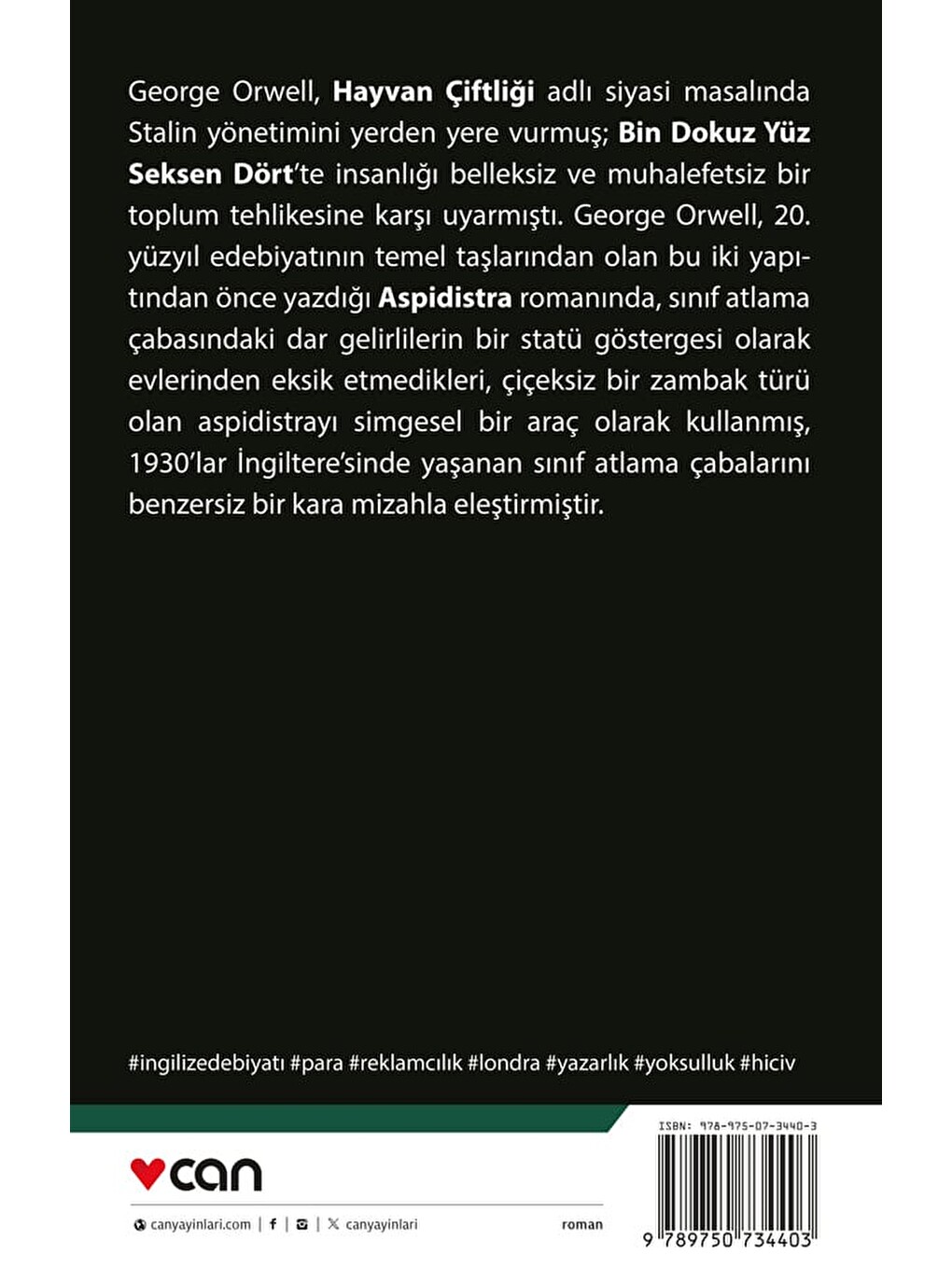Aspidistra-2