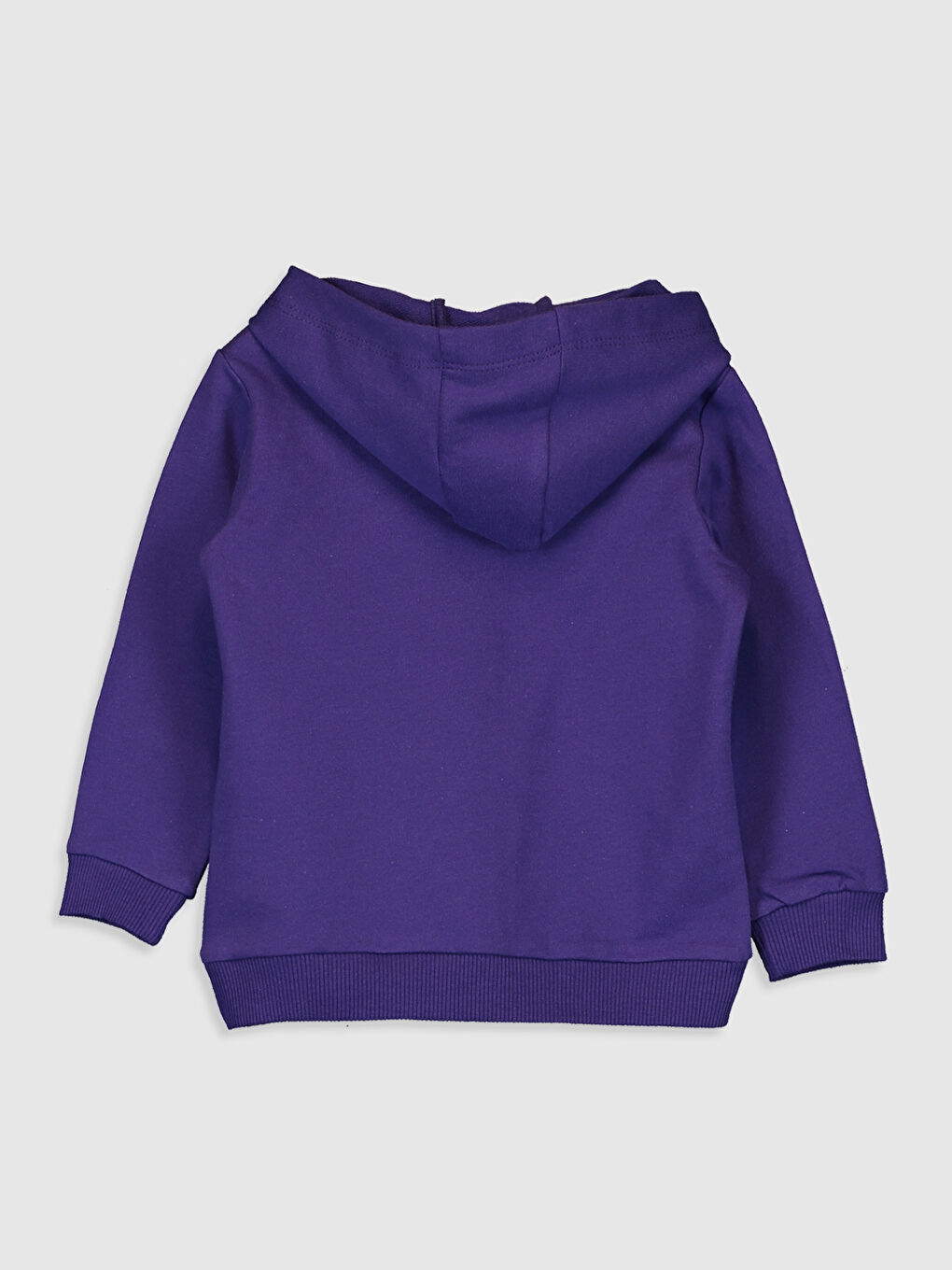 Baby Boy PURPLE Sweatshirt-1