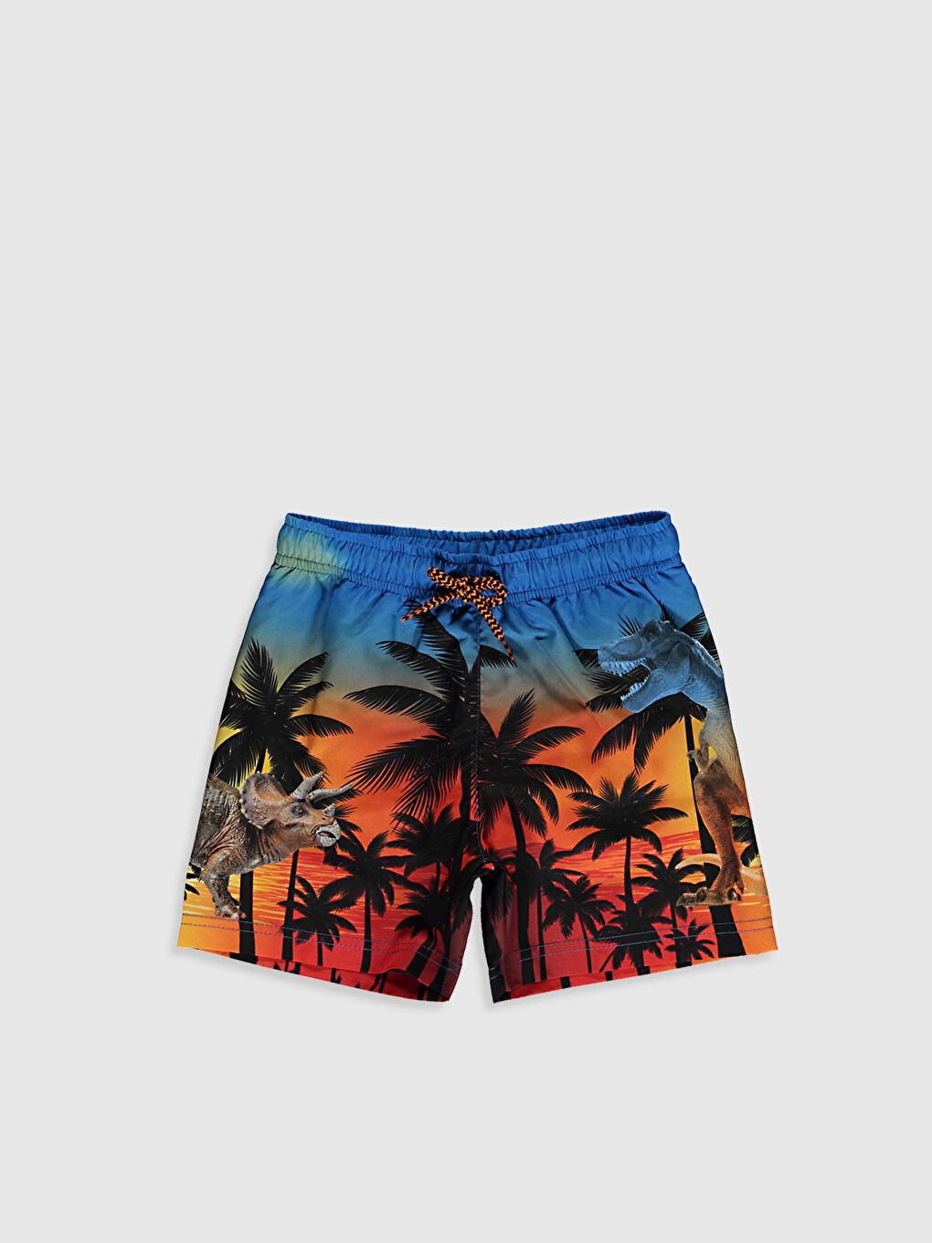 Boy's Quick Dry Swim Shorts