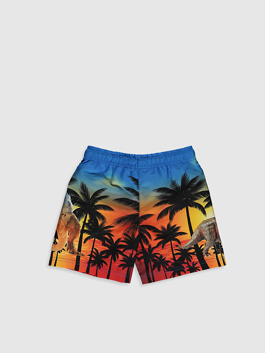 Boy's Quick Dry Swim Shorts-1