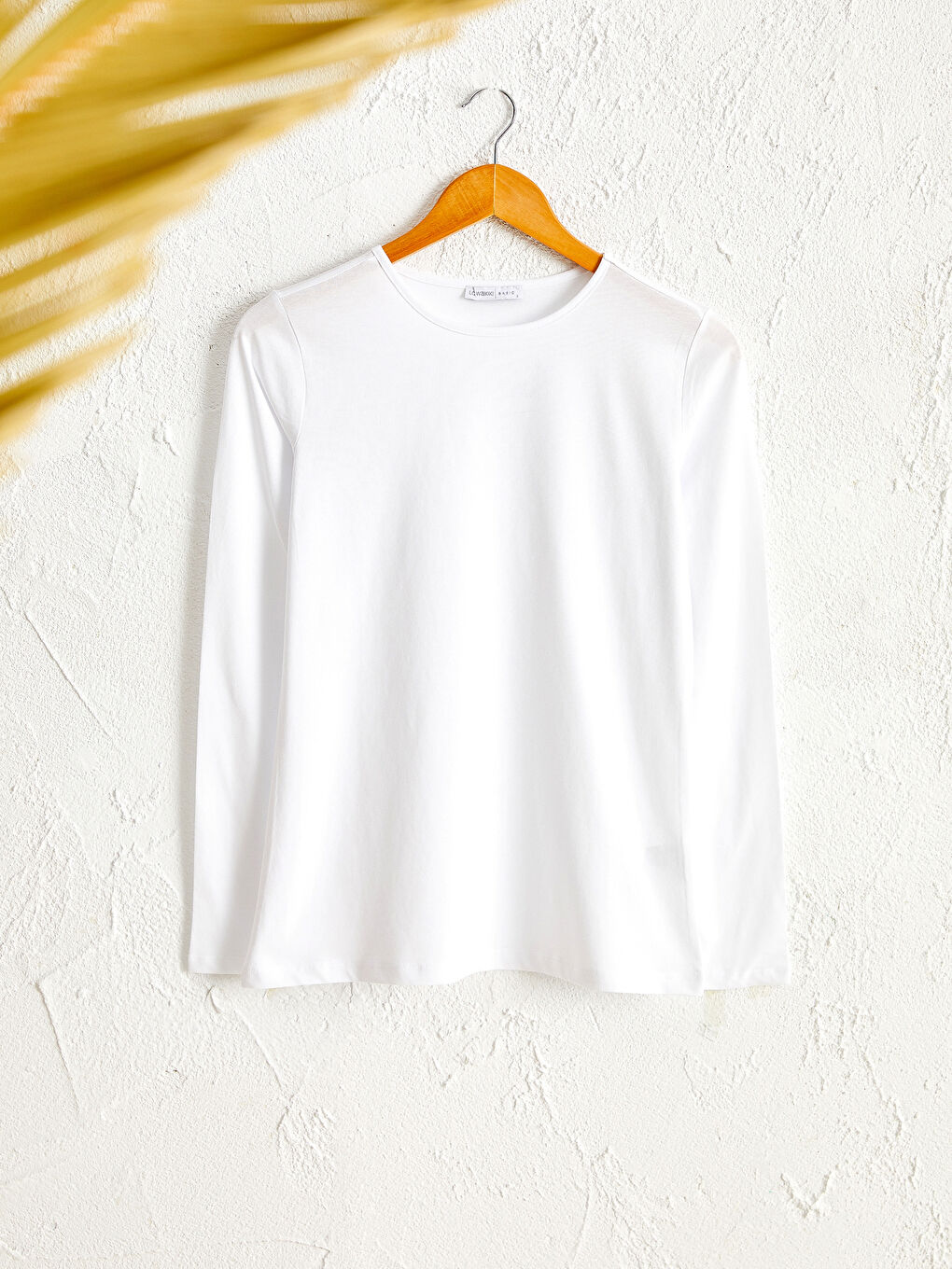 Beyaz Bisiklet Yaka Standart Fit Uzun Kollu Penye Kadın Düz Pamuklu Tişört-1