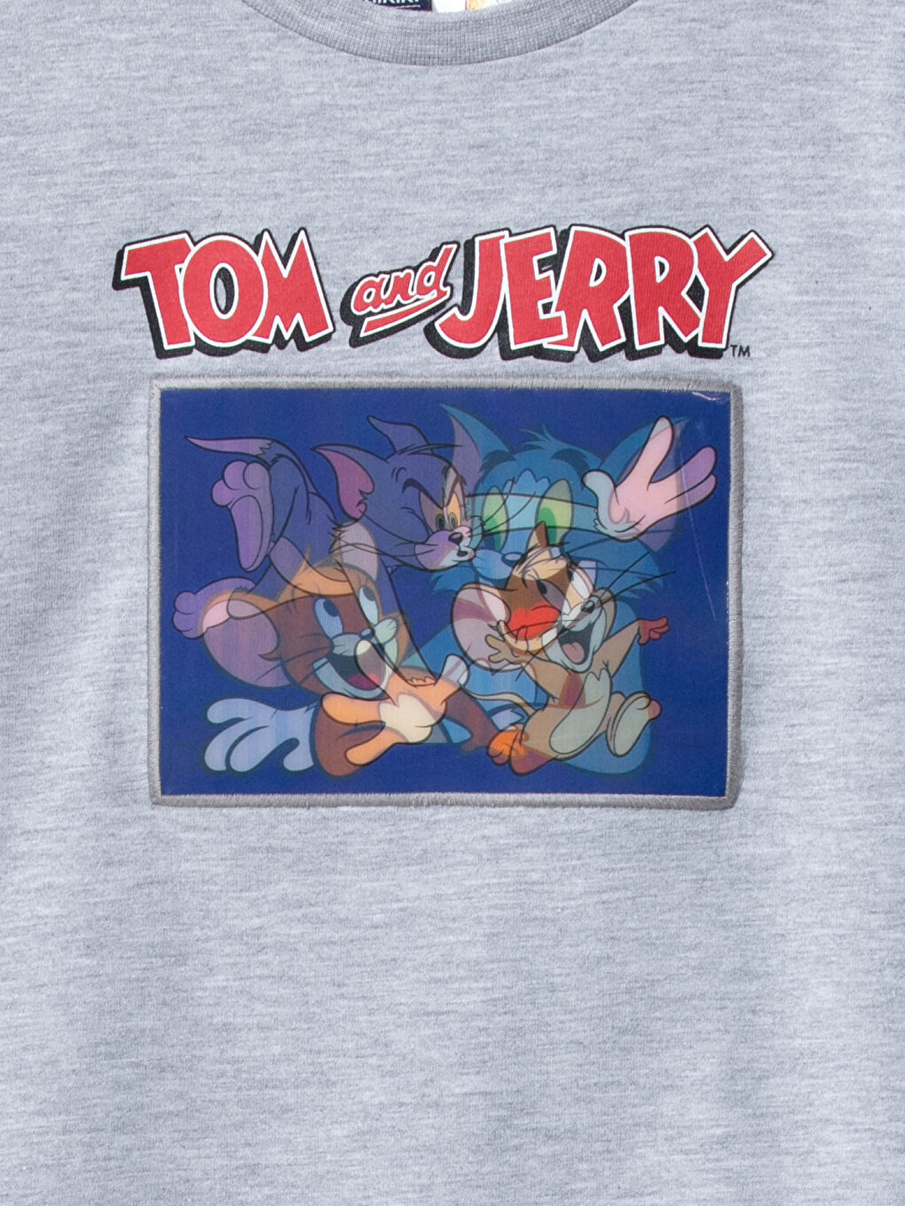 LCW Kids Rundhalsausschnitt Tom und Jerry Hologramm-Druck Langarm Jungen T-Shirt -S15904Z4-LAL