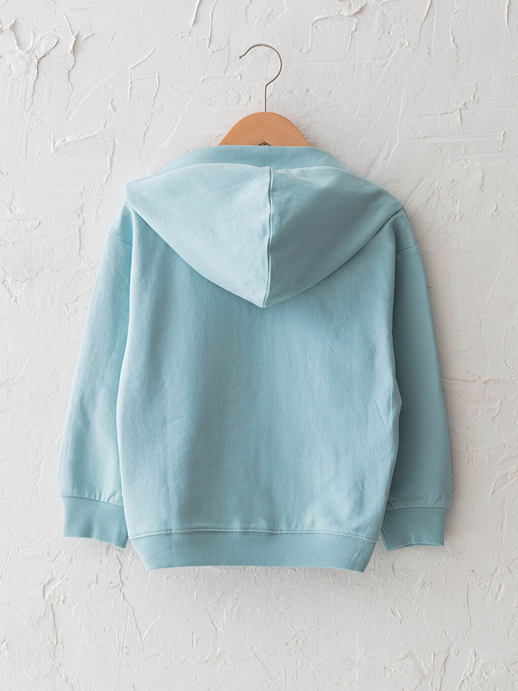 Hooded Dumbo Printed Long Sleeve Girl's Zippered Sweatshirt-1