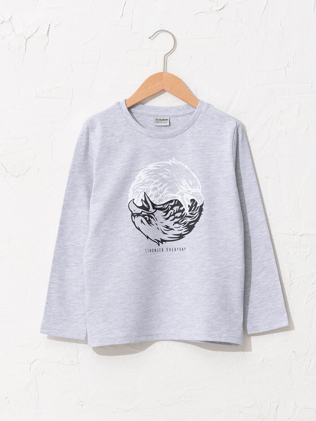 Gri Bisiklet Yaka Baskılı Uzun Kollu Erkek Çocuk Tişört