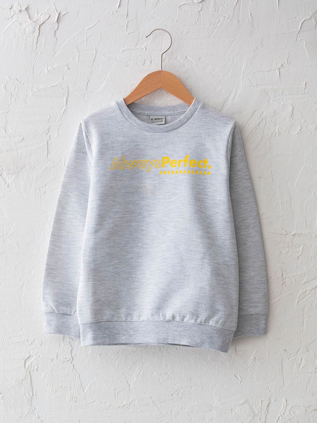 Gri Bisiklet Yaka Baskılı Uzun Kollu Erkek Çocuk Sweatshirt