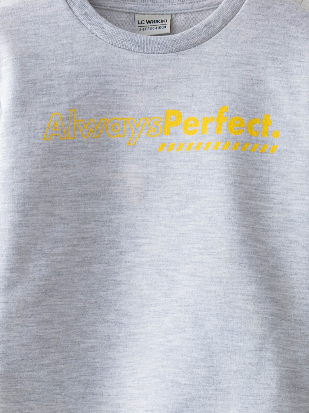 Gri Bisiklet Yaka Baskılı Uzun Kollu Erkek Çocuk Sweatshirt-2