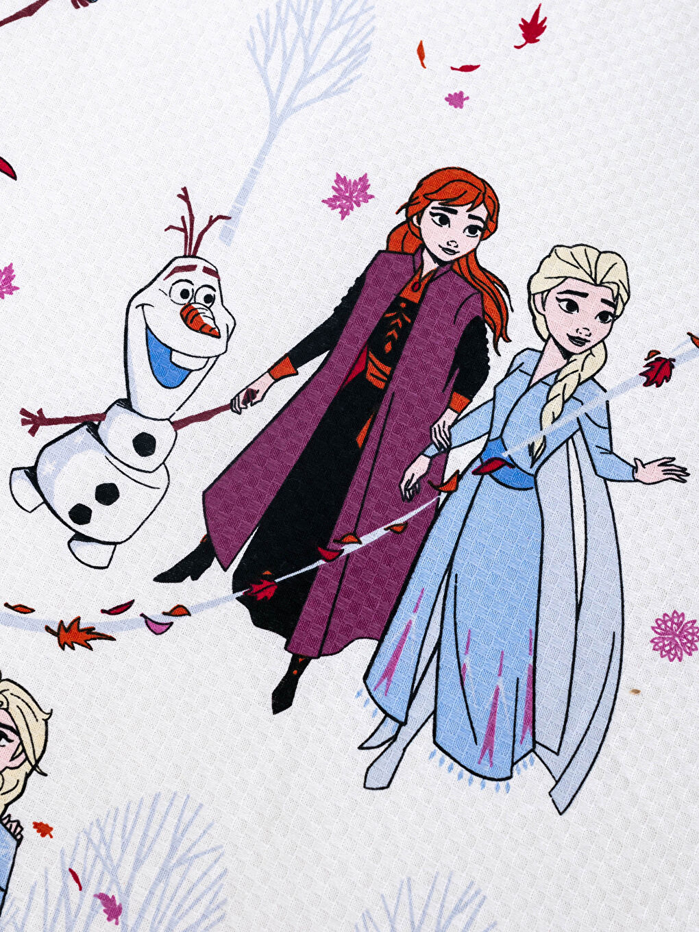 Frozen Licensed Girl Pike 160x230 Cm-2